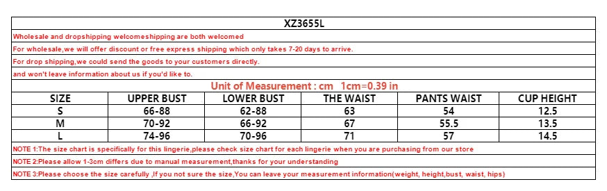 2024 Traje erótico sexy de encaje bordado ahuecado sin espalda de malla transparente lencería erótica de osito de peluche para mujer