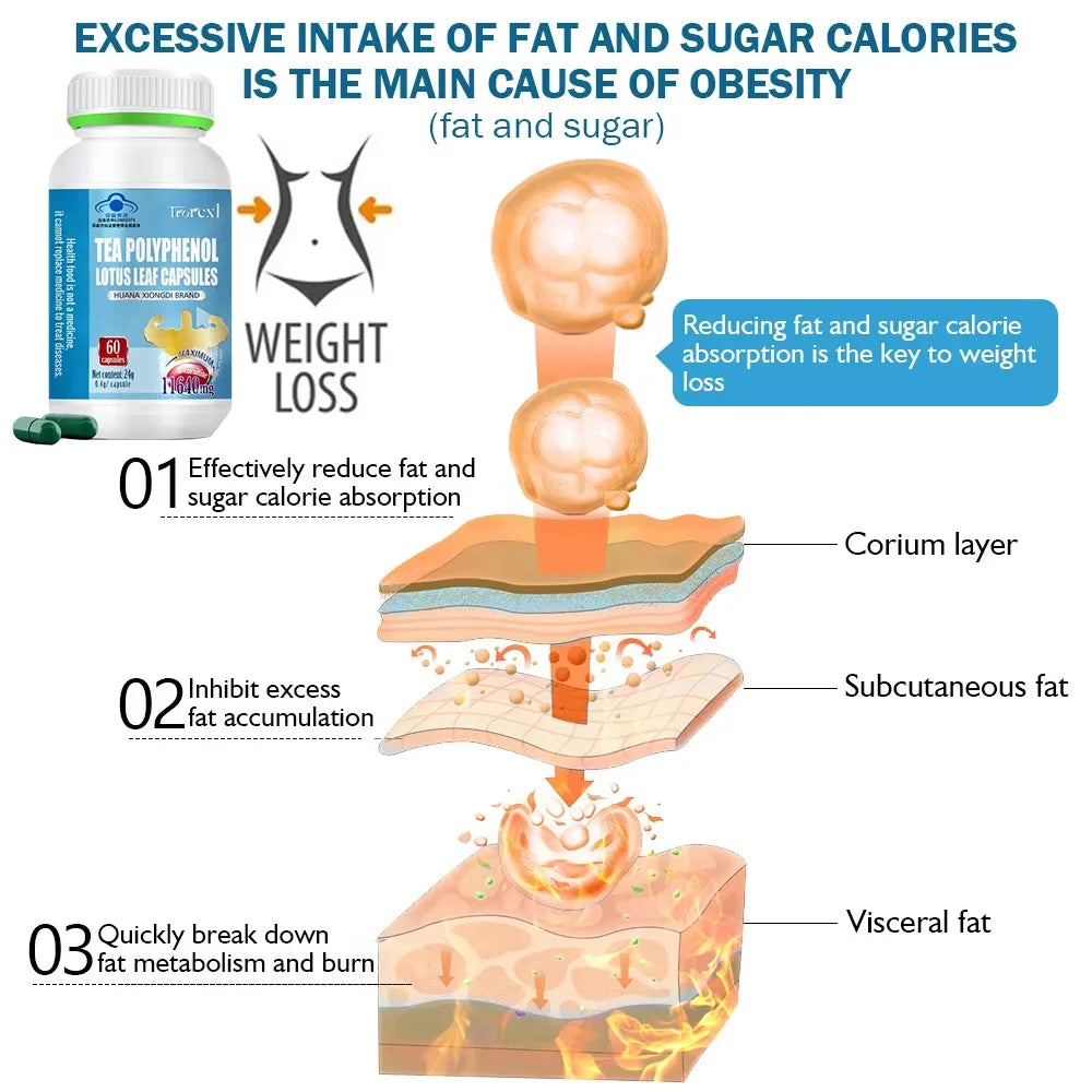 Productos para bajar de peso: quemador de grasa abdominal para mujeres: elimina grasa abdominal, reduce la hinchazón y evita el aumento de peso hormonal.