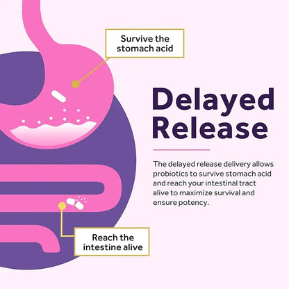 Probiótico para mujeres: mejora la salud intestinal, mejora la digestión y alivia la hinchazón y los gases.